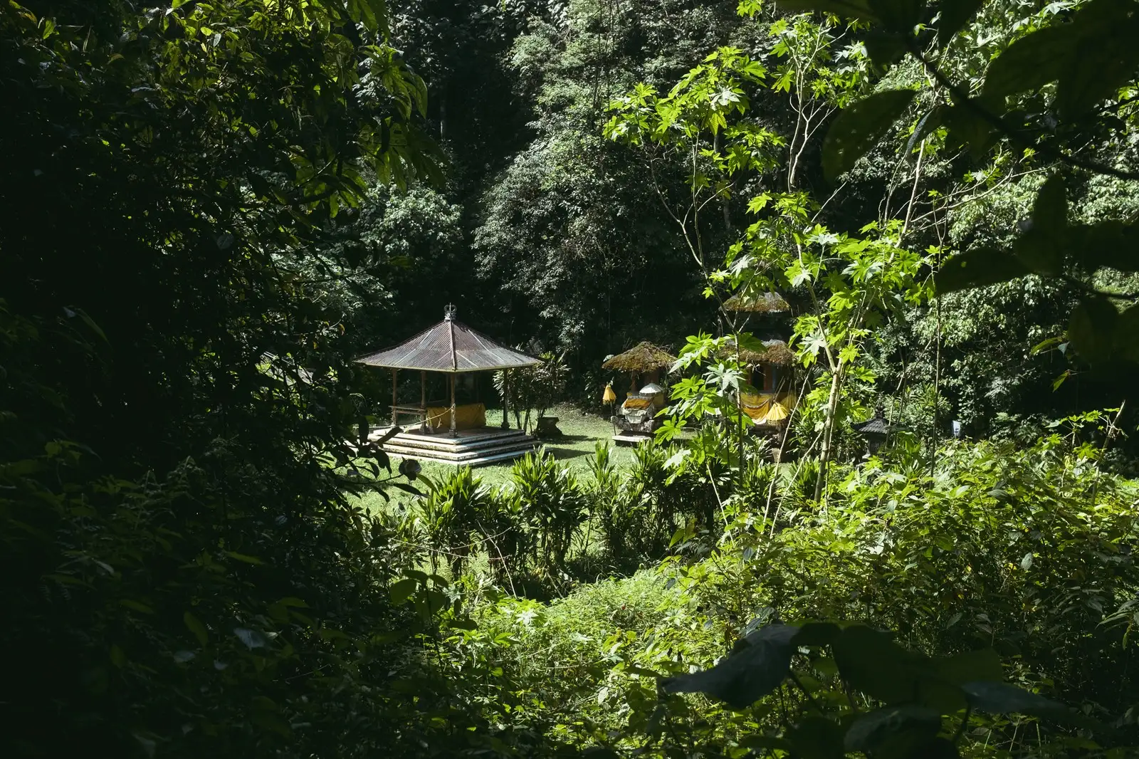 A Jungle Expedition to the Hidden Waterfalls of Munduk