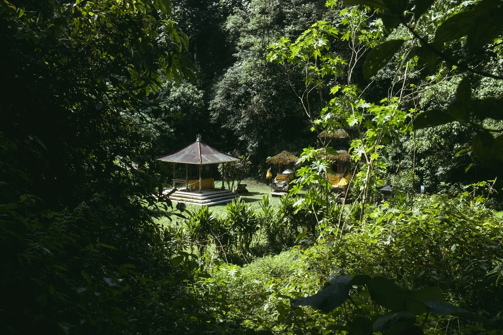 A Jungle Expedition to the Hidden Waterfalls of Munduk