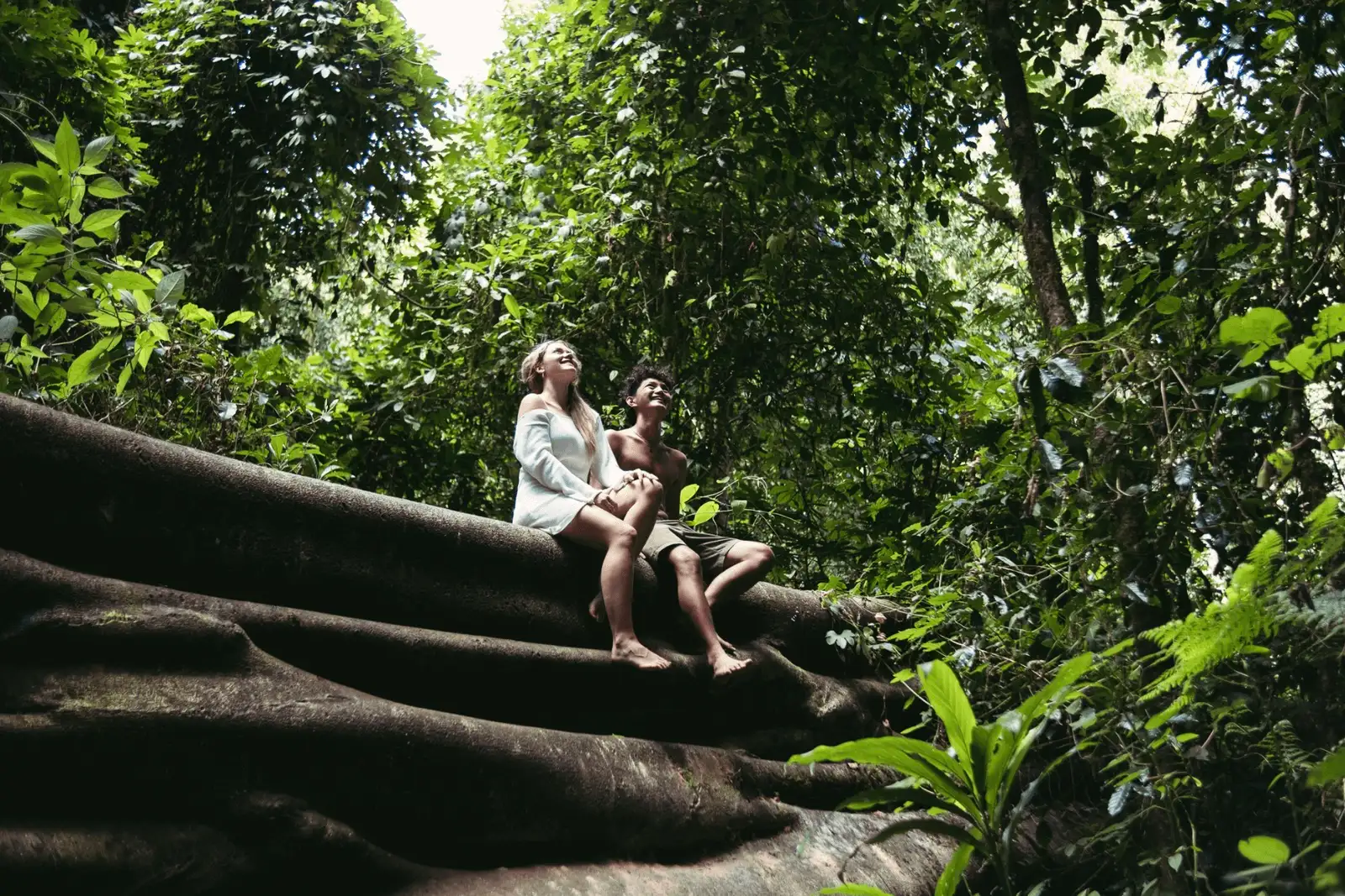 Trek Through the Ancient Rainforest