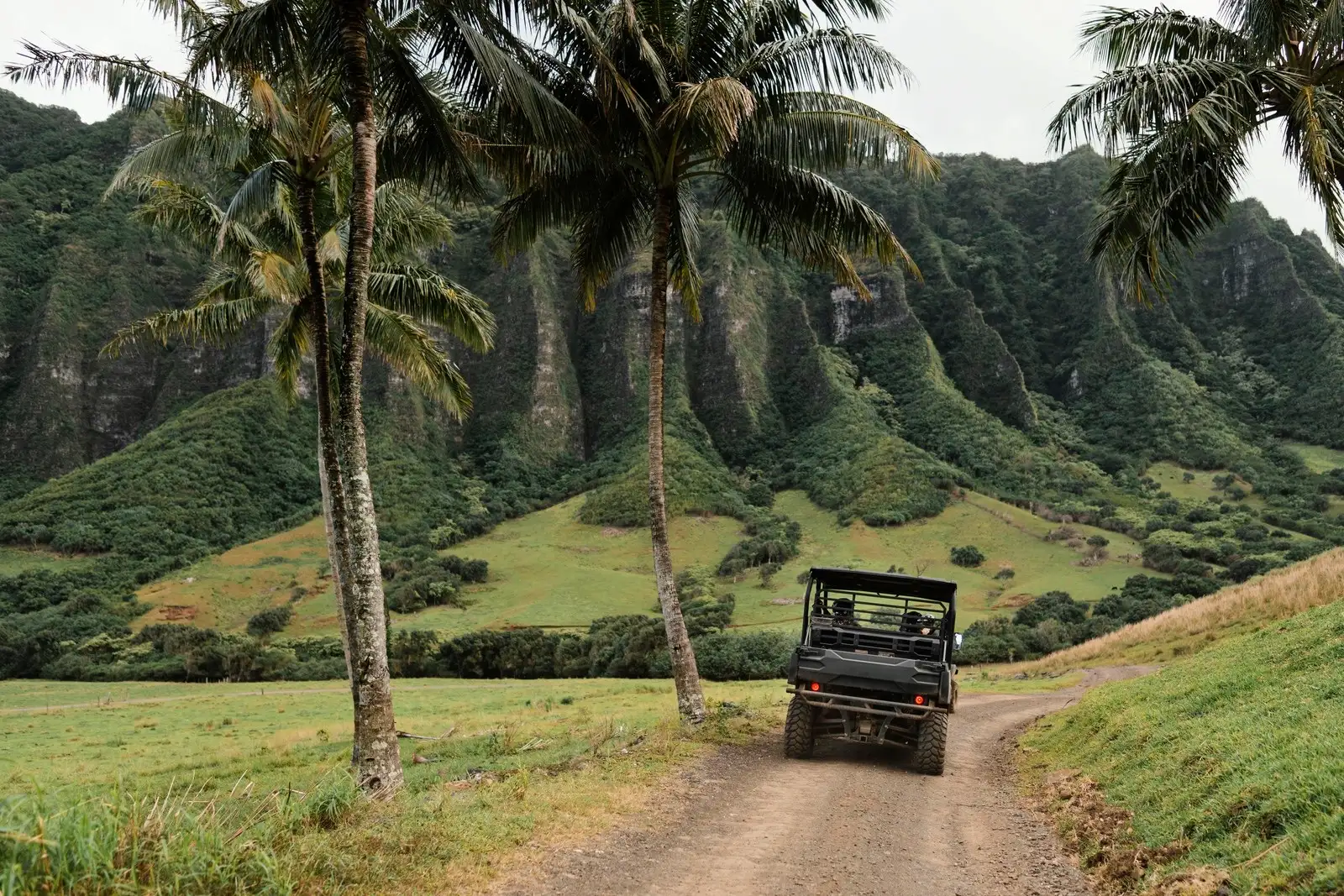 Private Buggy Ride Through Jatiluwih Rice Terraces