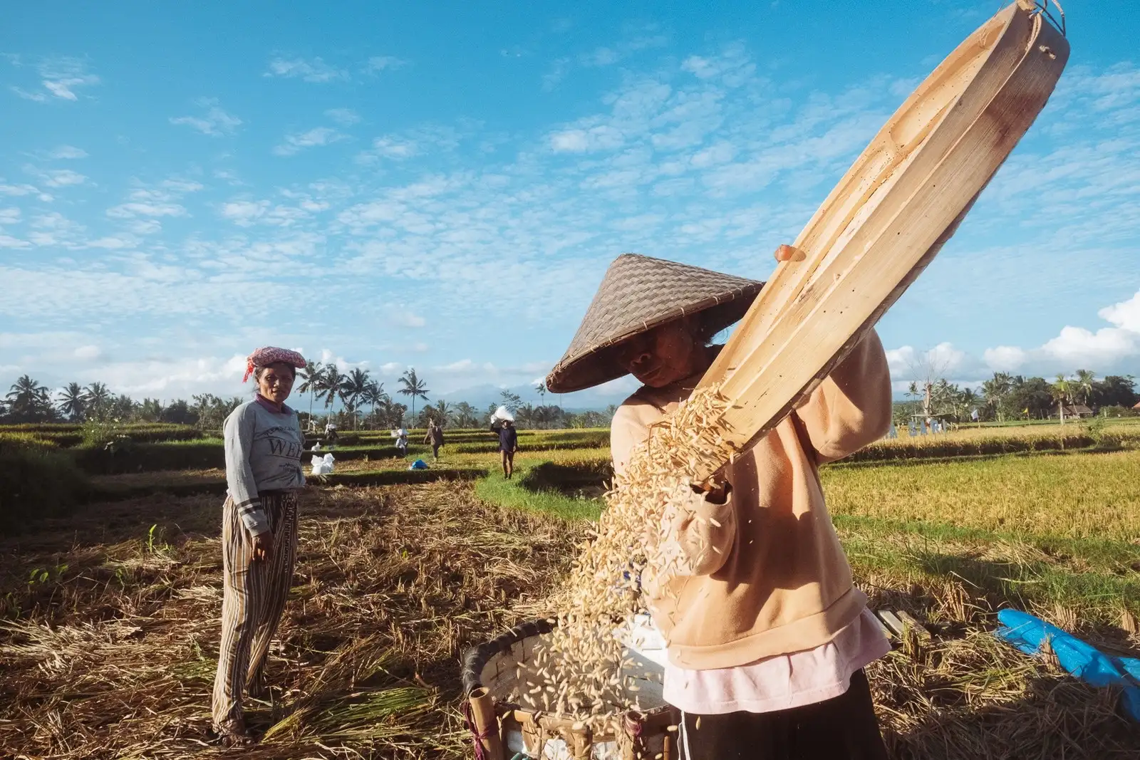 Meet Local Farmers and Engage with the Community