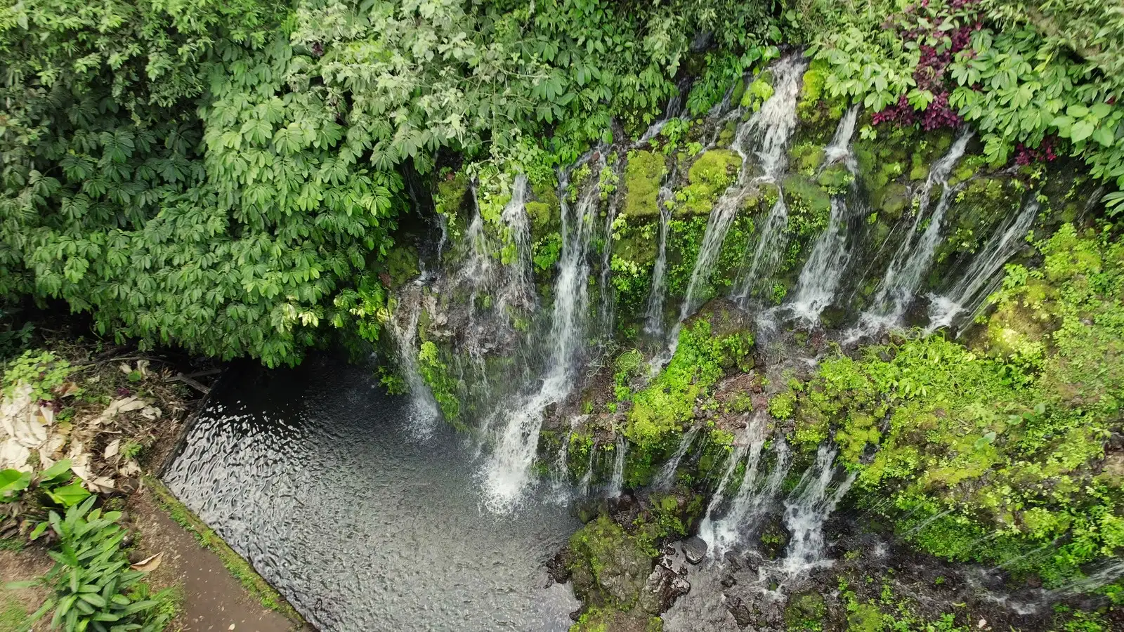 Trek to Banyu Wana Amertha Waterfall