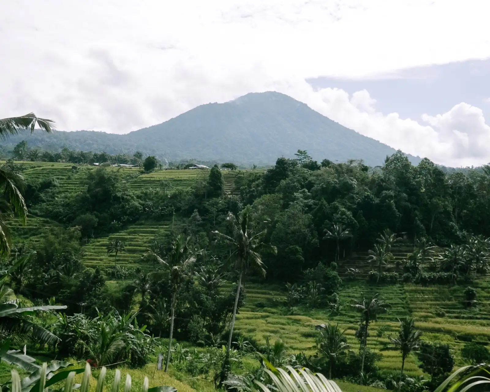 Visit to Pura Batukaru