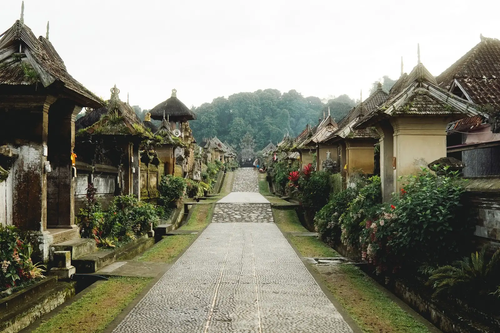 Witness Penglipuran Village Through the Eyes of a Local Resident